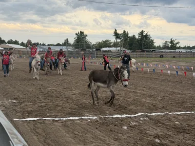 Alpena County Fair well attended, says Alpena County fairboard